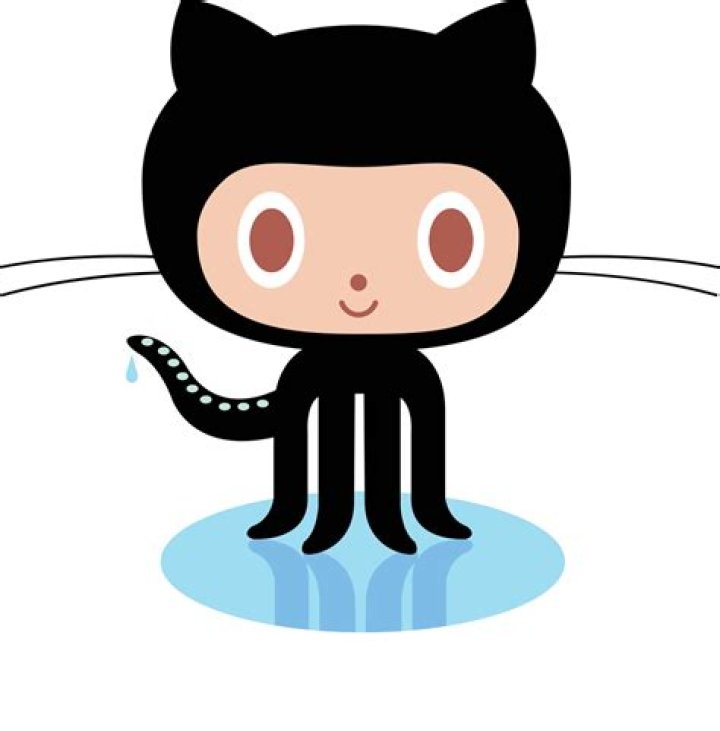 github-octocat github octocat