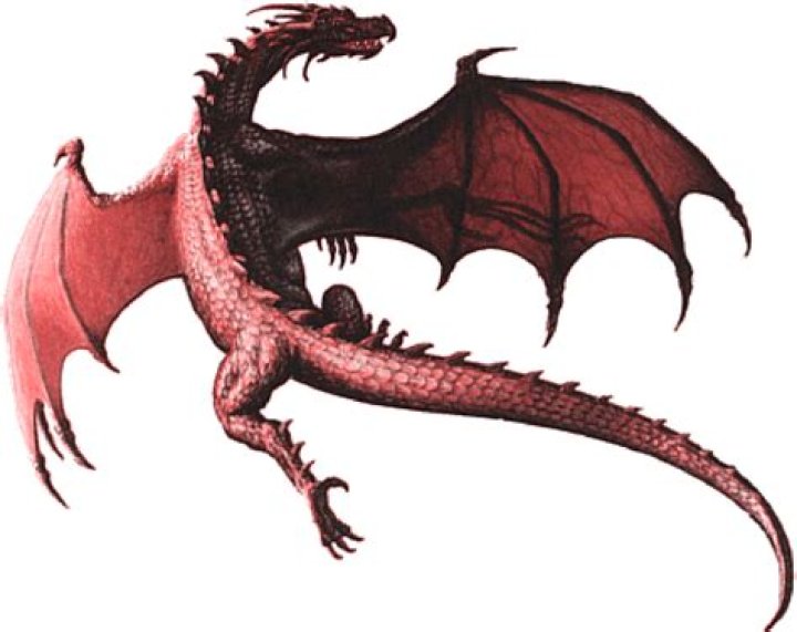 GO Dragon.png