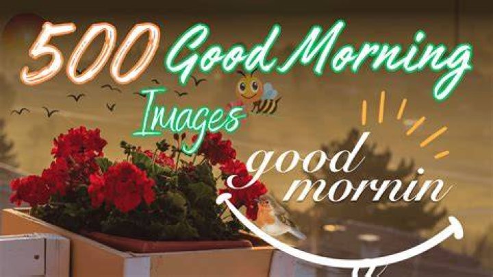 Good bokeh sample shot Good bokeh sample shot