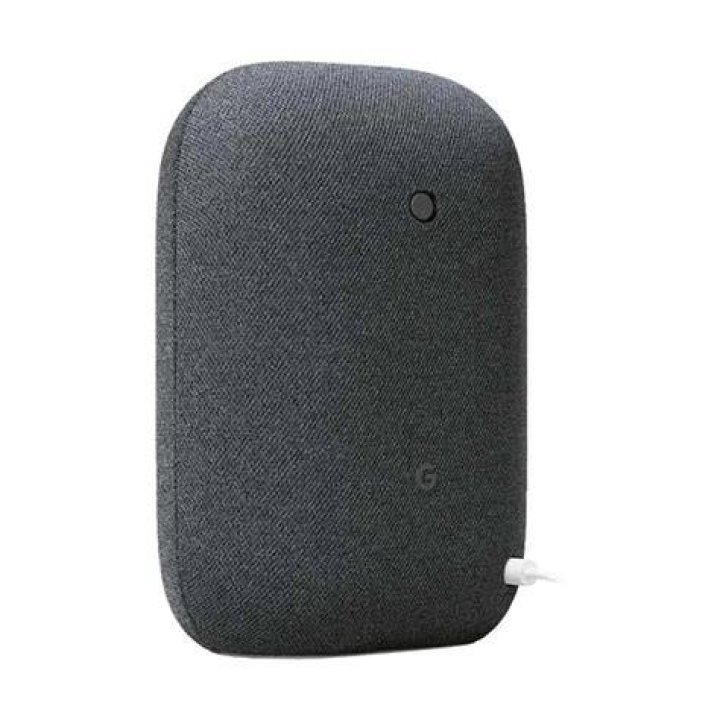 Google Nest Audio speaker in the Google Home app.