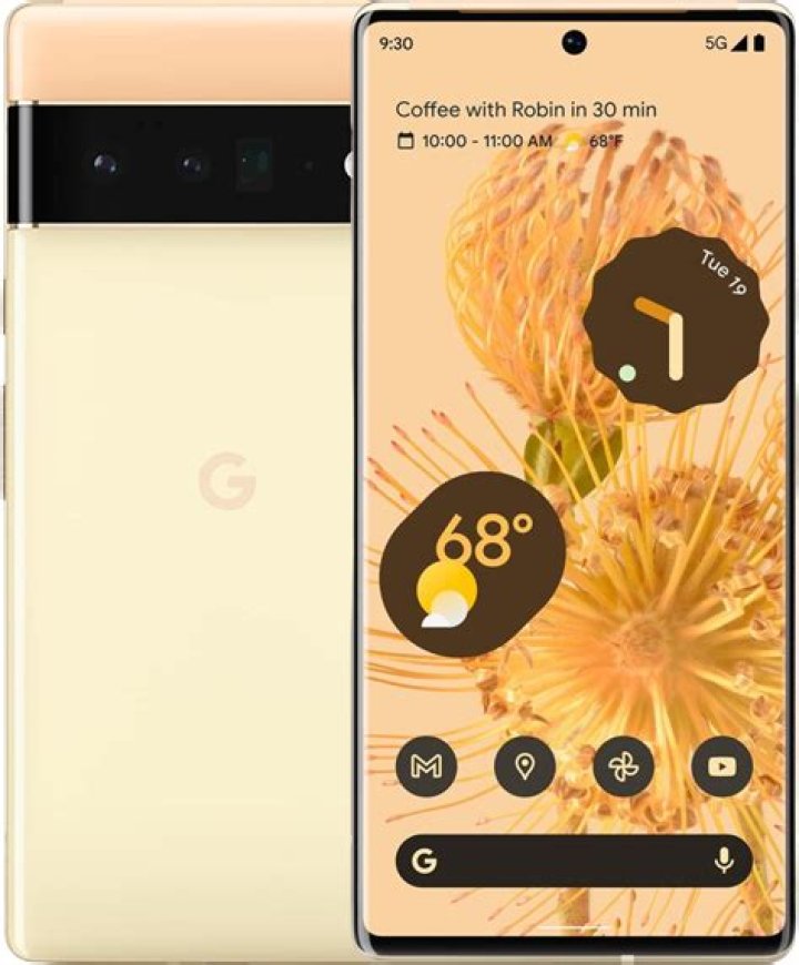google pixel 6 pro official cases