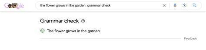 Google Search can check your grammar now Blog Creative Collaboration