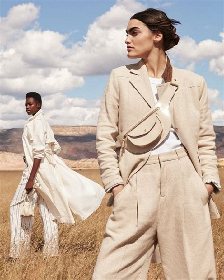 goop edit banana republic model