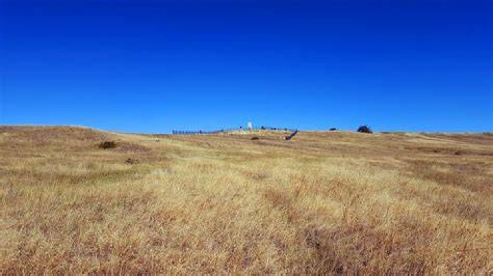 Grass battlefield