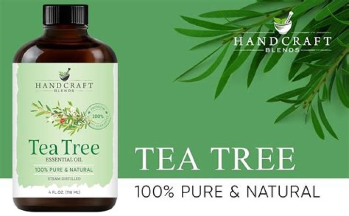 Handcraft Tea Tree Essential Oil