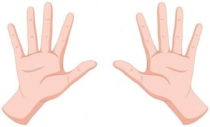 Hands