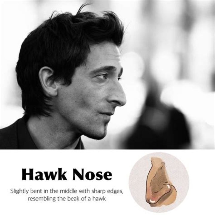 hawk nose hawk nose
