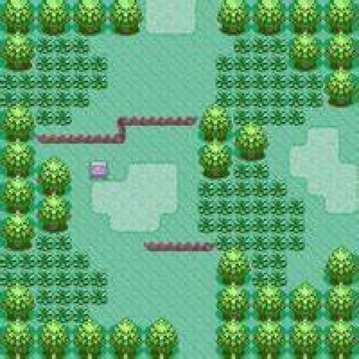 Hoenn Route 101