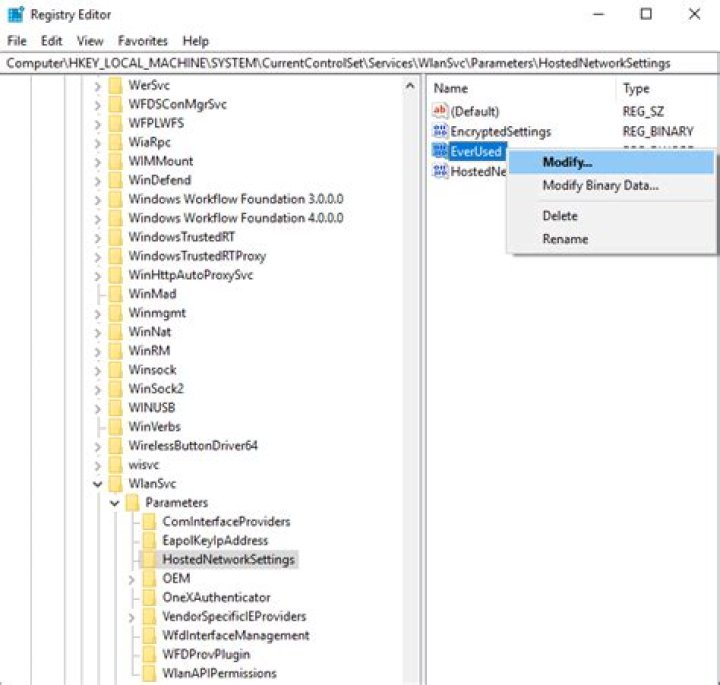HostedNetworkSettings in Registry Editor - download microsoft hosted network virtual adapter driver