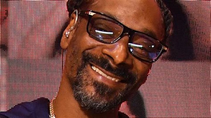 How Many Times Has Snoop Dogg Been Arrested?