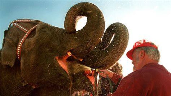 How the Circus Got a Social Conscience