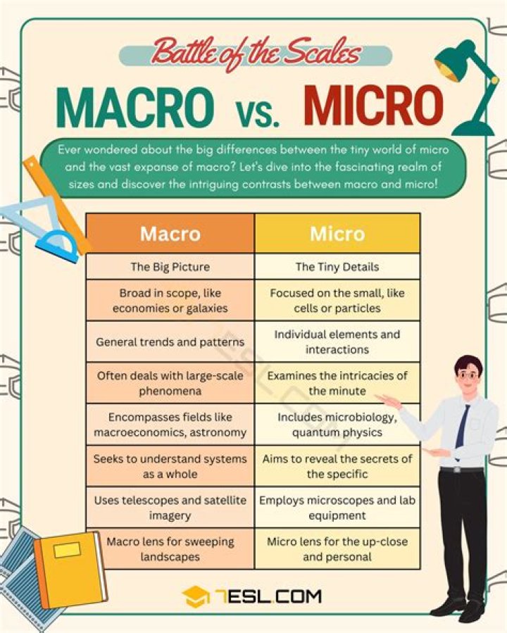 How To Calculate Micros