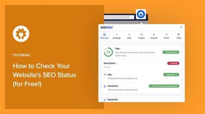 How to Check Your Website Ranking 8 Tips and Tricks Green Poison