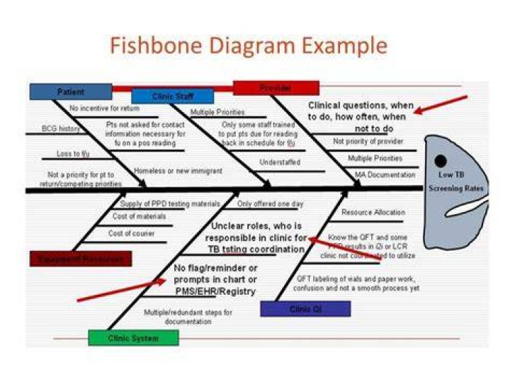 How To Create A Fishbone Diagram