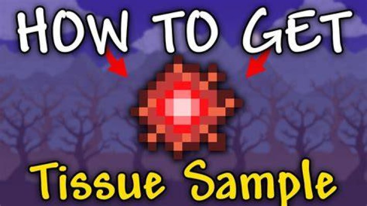 How To Get Tissue Sample In Terraria