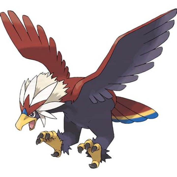 Image of Braviary