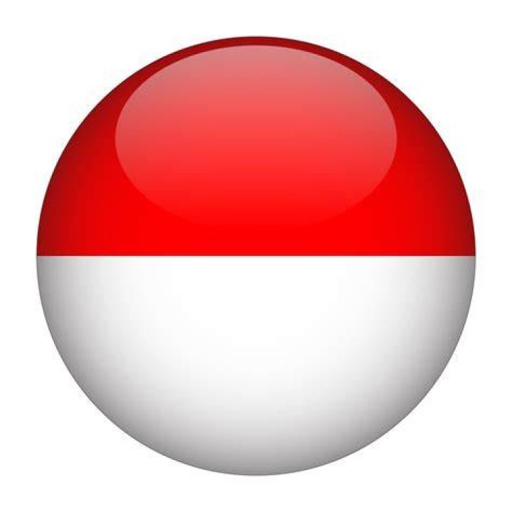 Indonesia Flag.png