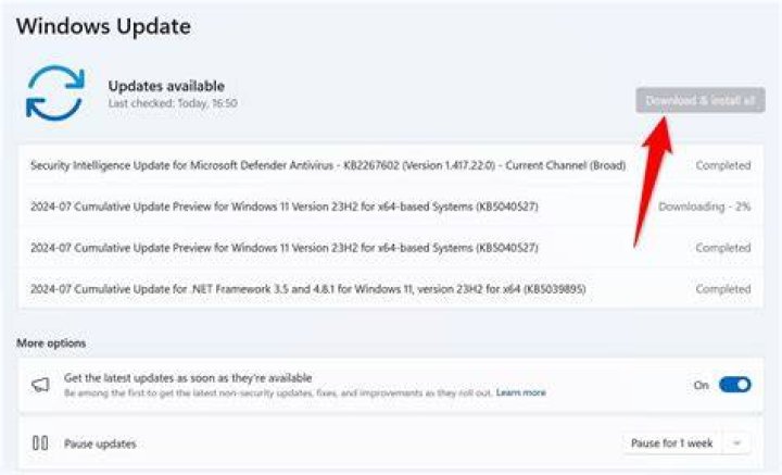 install Windows updates