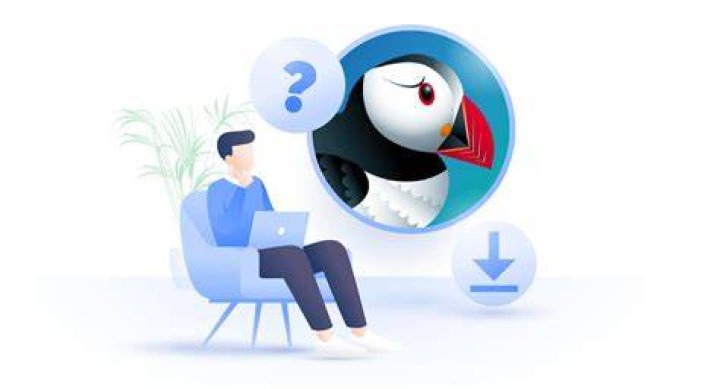 question mark Is puffin browser safe?