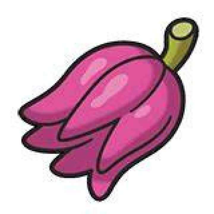Kasib Berry