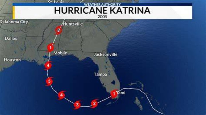 Katrina's Poochyena