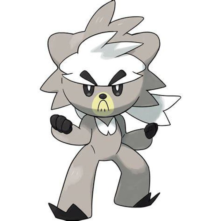Kubfu