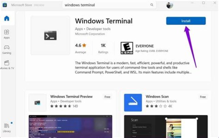 Launch Windows Terminal to fix reboot loop in Windows 11
