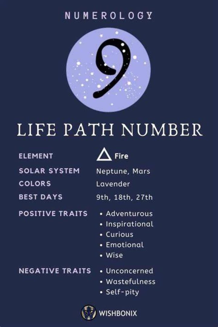 life path number 9