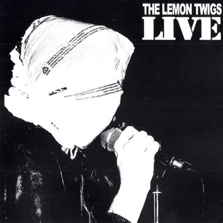 LIVE THE LEMON TWIGS 10/11/2017 Silent Radio