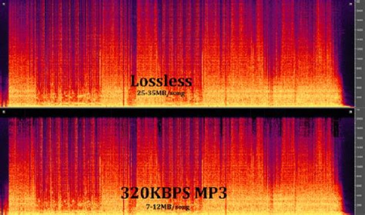 Lossy vs Lossless Spectrum Analysis
