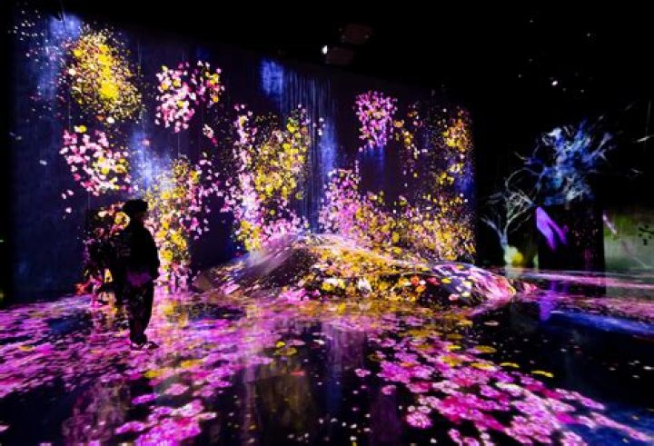 Masa49 Com: A Gateway To Unique Digital Experiences
