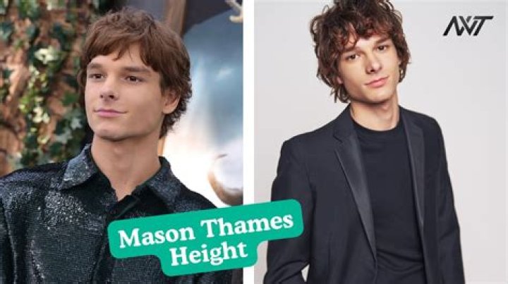 Mason Thames Height, Weight, Age, Body Statistics Safe Home DIY
