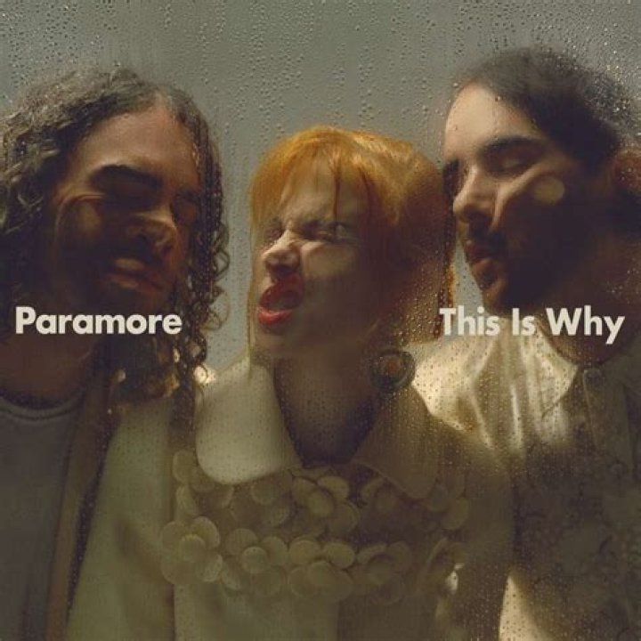 Meaning of Pool by Paramore