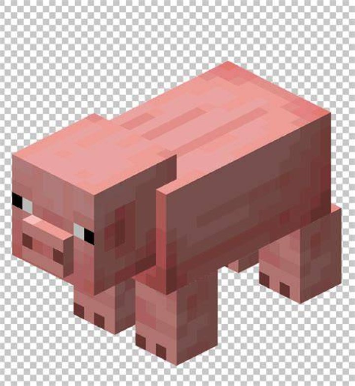 Minecraft Pig