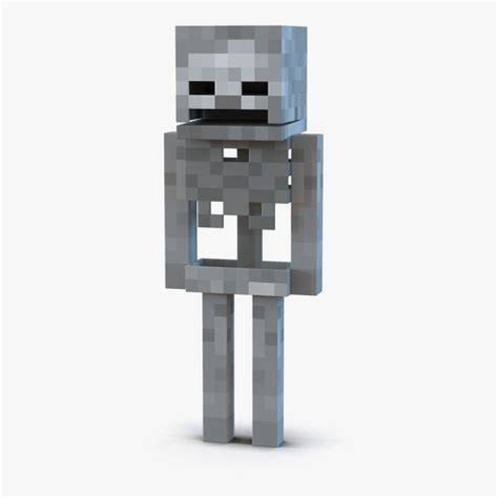 Minecraft Skeleton