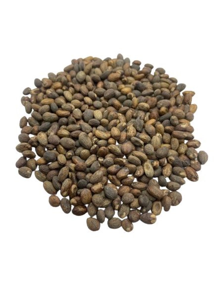 Miracle Seed