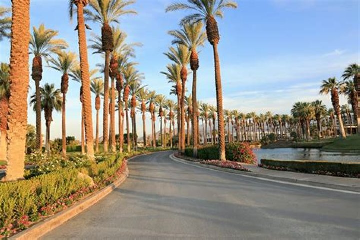 Moving to Palm Springs