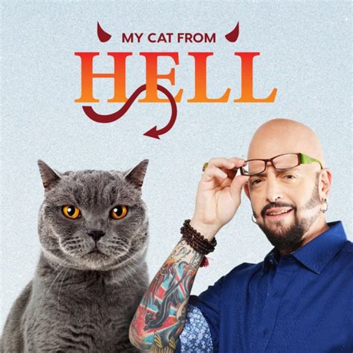 My Cat From Hell host My Cat From Hell host