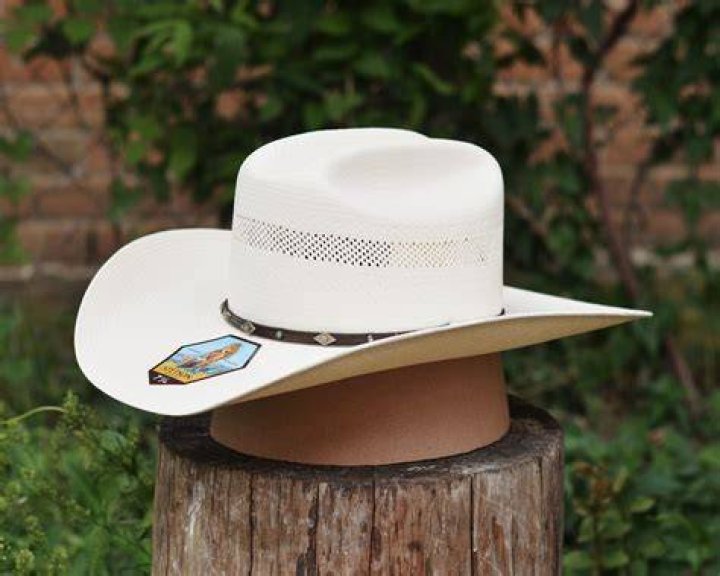 Natasha Bure wearing straw hat in selfie