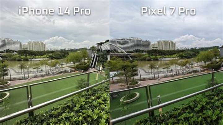 OnePlus 8 photo sample HDR