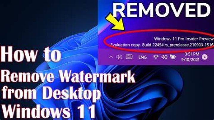 paintdesktopversion dword paintdesktopversion Remove watermark windows Education