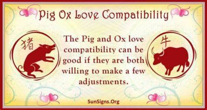 pig ox compatibility