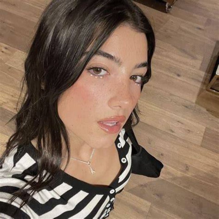 Pin by meh on charli damelio. in 2022 Charli d amelio, Friend