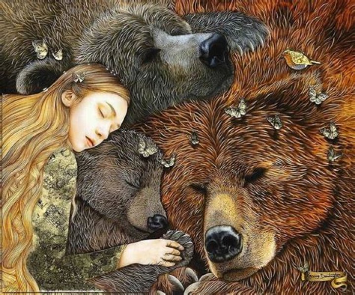 Pin on goldilocks