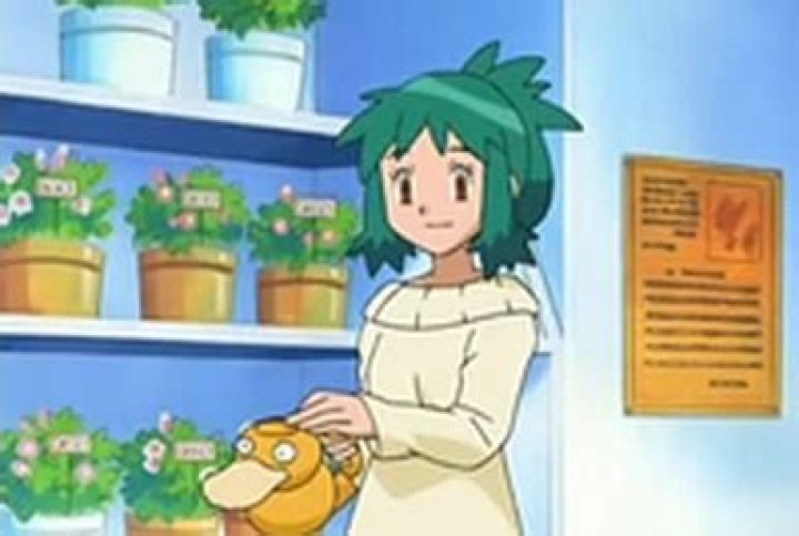 Pok&eacute;mon Get☆TV