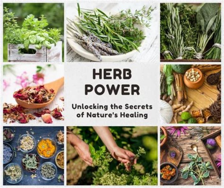 Power Herb