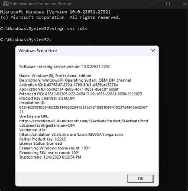 Product key not showing in Command Prompt
