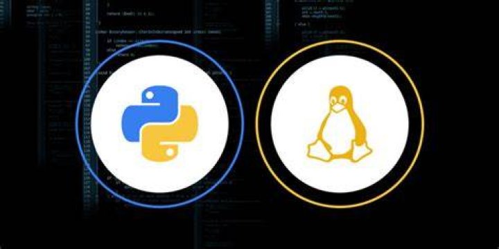 Glasses on laptop coding Professional Python and Linux Administration Bundle
