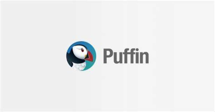 Puffin Browser promises fast experience Puffin Browser