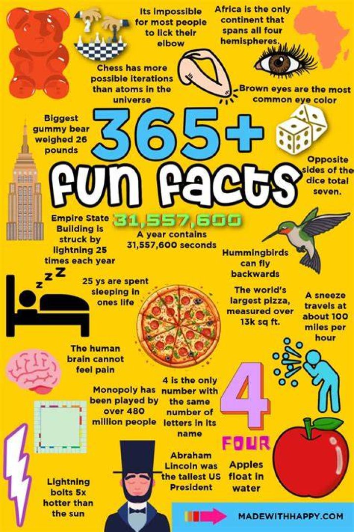Random Facts About The Reality Star